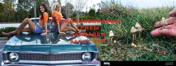 mdpv Семикаракорск